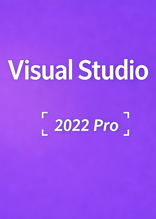 MS Visual Studio 2022 Professional CD Key Global
