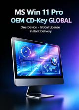 MS Win 11 Pro OEM KEY GLOBAL-Lifetime